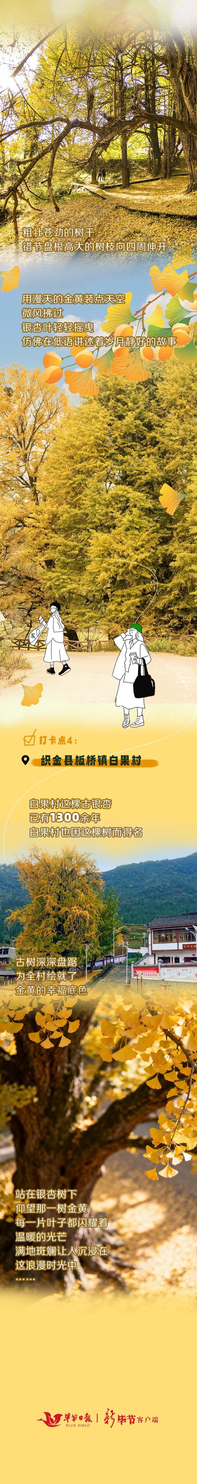 毕节的金色秘境，千万别错过！