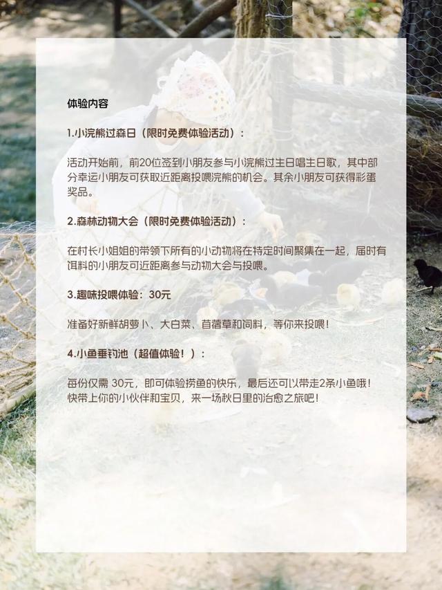 南法乡野秋日市集即将启幕
