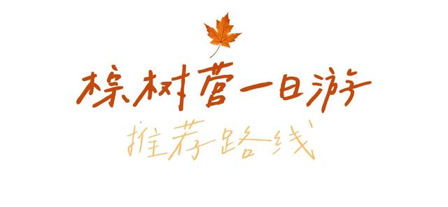 初冬CityWalk,来西山棕树营邂逅悠闲时光