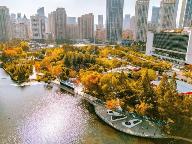 在江汉，听见公园里的秋色私语