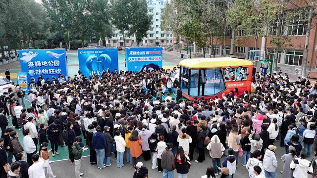 “鹅城”哈尔滨，全城见企鹅！哈尔滨极地公园最大规模“淘学企鹅冰雪巡游”11月15日全城开启！