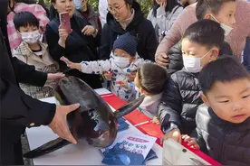 江豚、大鲵、绿海龟等水生保护动物“现身”杭州动物园图片