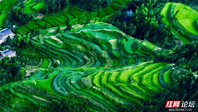 【每日一图@湖南】雪峰深处的秘境：天门乡的瑶汉共生图景