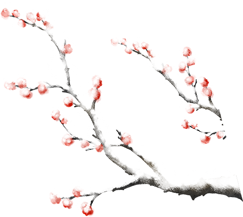 “银”客天下 “杏”福秦州丨天水黄金大道汉服节活动华彩启幕