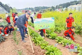 菜园种美好 “耕” 读育新人！成都东部新区石板凳街道联合先锋小学校开展劳动实践活动图片