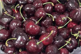 近千吨智利车厘子通关抵沪，将被投入长三角市场图片