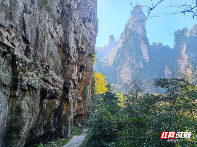 杨家界秘境登顶徒步圈 “雄奇险幽”引背包客竞逐