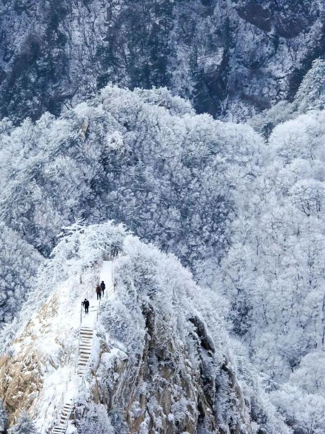 洛阳的第一场雪，来了！