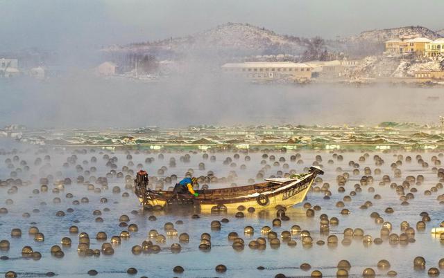 绝美！雪后荣成海湾上演“海浩”盛景