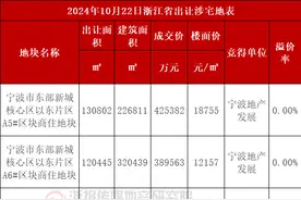 甬湖嘉绍金六地成交 均为本土企业拿地图片