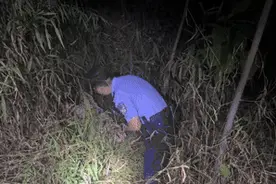 女子纳凉夜爬山林摔深沟里“失踪”  警民搜山两小时在齐人高草丛里发现她图片