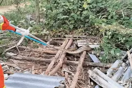 村民看见近3米长蟒蛇求助，消防到场意外发现五六条巨蟒！“蛇王”近50斤图片