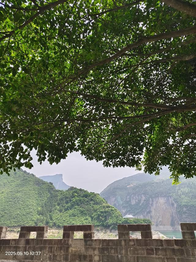 一家三口重庆五日游