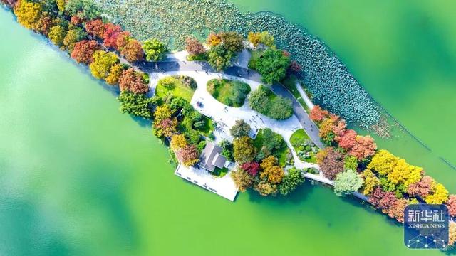 秋声渐杳 斑斓成诗