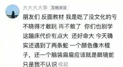 女子徒步时误把蛇窝当“野生蹦床”，脚感很舒服；返程才知道很后怕，有人提醒“下面至少有几百条蛇”