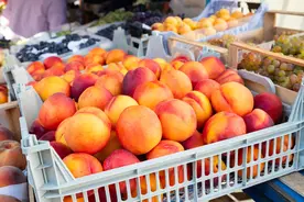 含水量高、稳血糖、不怕胖 不同品种的桃子营养有啥不同图片