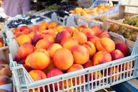 含水量高、稳血糖、不怕胖 不同品种的桃子营养有啥不同图片