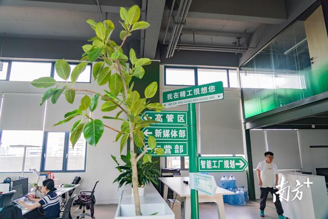 人文赋能智能制造新生态，顺德伦教破题“出圈”