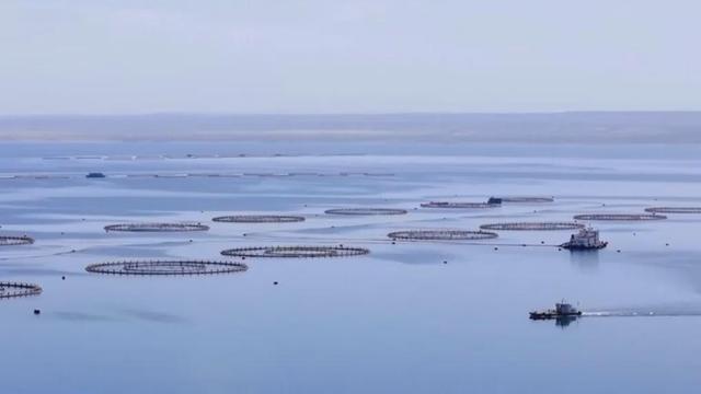 青海：中国地理的“超级链接”| 文化中国行