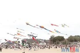 同办文体活动拉近人民的心 两岸首次相约举办风筝节图片