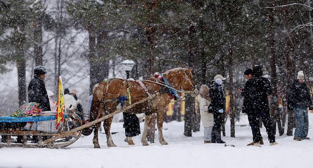 中国蓝观察丨赴俄免签来了！黑河口岸排长队 全国多地“卷”出冰雪新花样