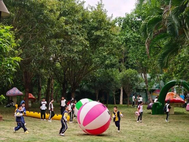 100张门票免费送！来高明“宝藏”度假区，一站式get秋天的松弛与浪漫~