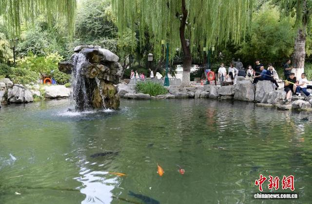 山东济南：72名泉喷涌欢腾引游人