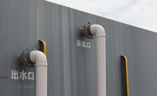 小斗湖鳘鱼胶效果 2026年斗湖鱼胶的功效与作用