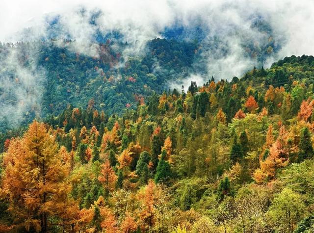 瓦屋山跻身世界旅游名山，“绝壁飞瀑徒步线”获评国际示范线路