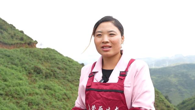 乌蒙大草原：旅游热带动小吃经济升温