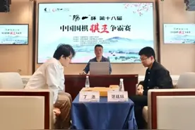 丁浩首夺中国围棋棋王争霸赛冠军图片
