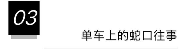 一条荔园路，多少蛇口人的前半生