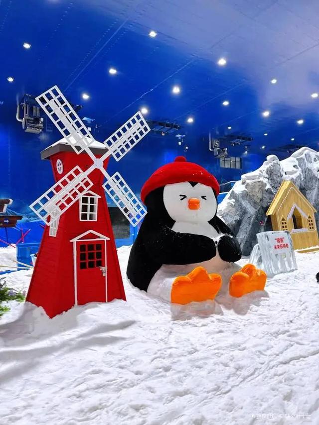 体荟四季丨出发！与小体一同解锁长三角3小时“滑雪圈”