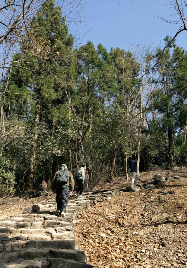 Hi走奉化③ | 拿下最高峰！蜘蛛岭古道虽累，但这秋色值了！