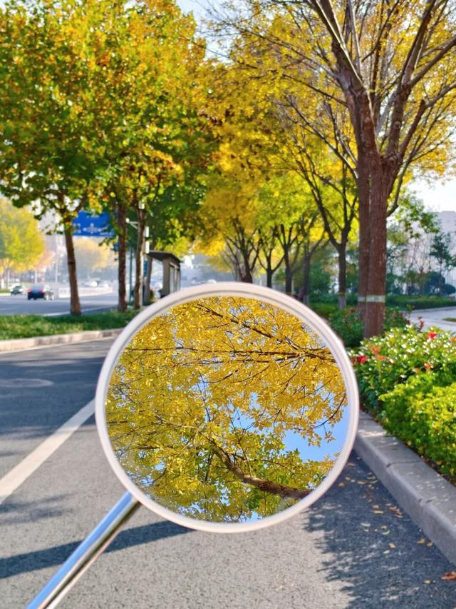 日照街道的这些地方！美极了！