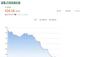 美白、护眼、缓解甲状腺结节，蓝莓真的有这些好处吗？图片