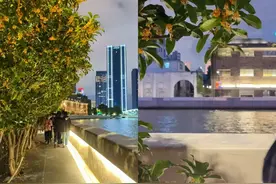 深呼吸~闻着桂花香，开启一场苏河湾秋日City Walk吧！图片