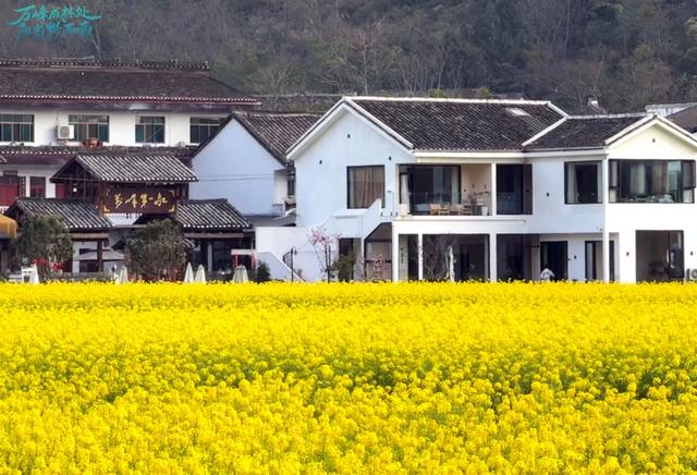 高铁开通催热黔西南兴义冬季康养游,民宿经济焕发新活力