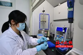 蔬菜照出荧光=农残超标？福州专家实测！结果出乎意料……图片