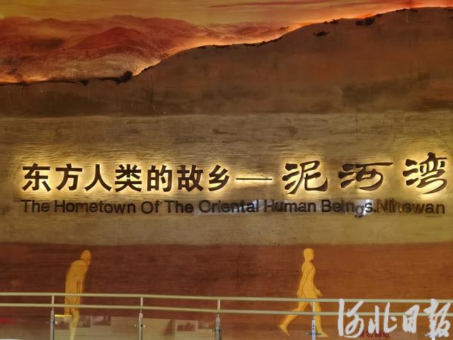 假期不宅家丨博物馆里有什么？这些神奇“宝藏”，等你探秘→