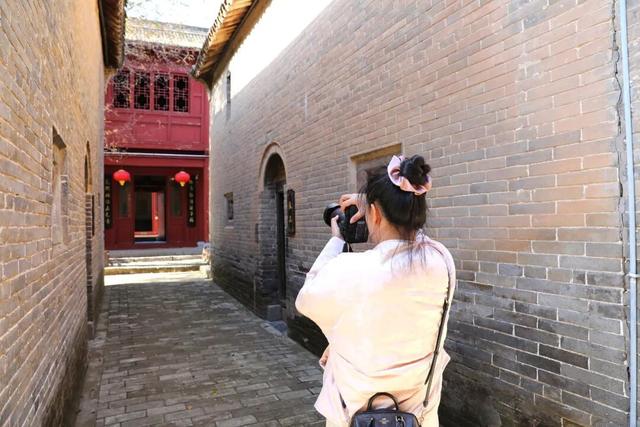 温县，一韵冬色，尽藏美好！