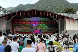 十堰市店子镇举行全域仲夏消费季群众文艺汇演暨农产品展销活动图片