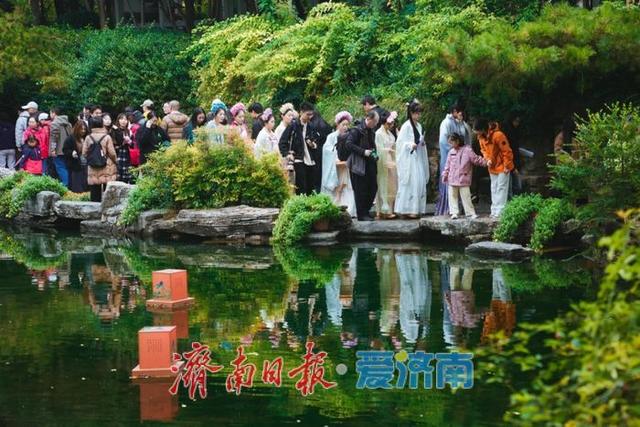 秋日胜景入画来！第46届趵突泉金秋菊展盛装启幕，泉城赏菊盛宴震撼登场