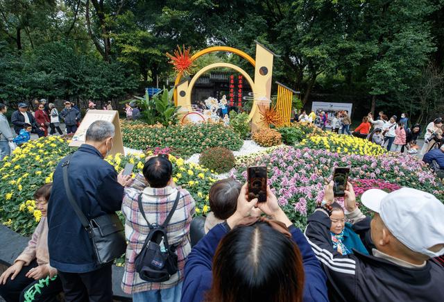 千株万朵菊花开，深秋又有春意来