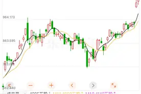 英伟达突遭“空袭”！华尔街分析师警告：未来或将大跌20%图片