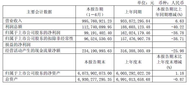 深天马、维信诺、创维数字、汇顶科技、全志科技等19家面板与显示芯片企业2025上半年财报一览