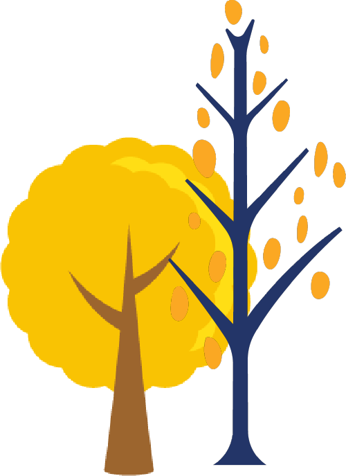 不必扎堆赏红，全市推出14处金秋彩叶观赏地