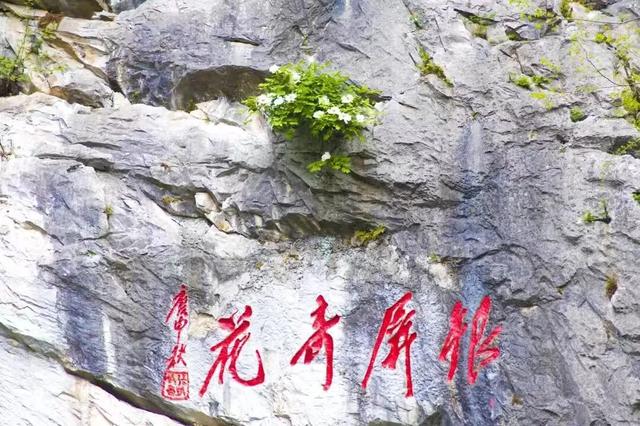 一场雪后，合肥太美了！