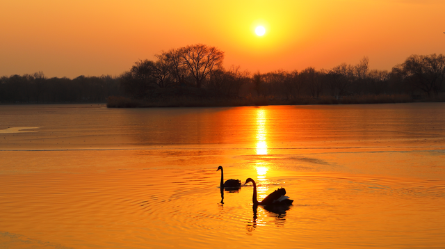 圆明园初冬的静谧