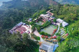 到远山树林喝“村咖”很city 普洱咖啡庄园引领乡村旅游新风尚图片